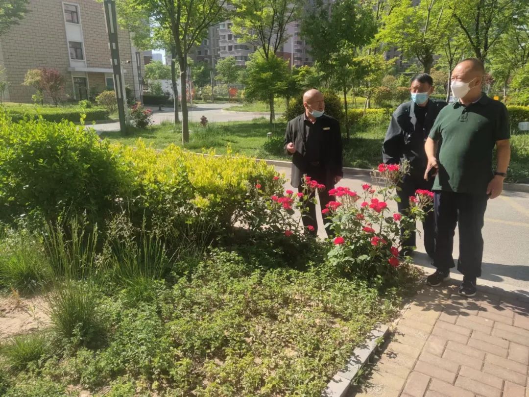 怡欣花园开展禁种铲毒踏查，确保无罂粟种植