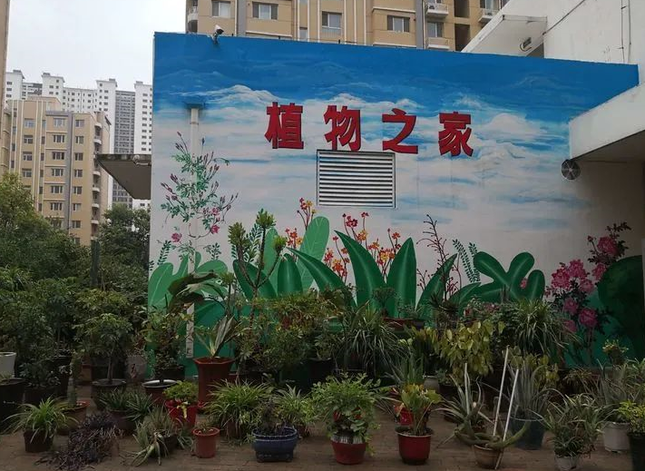 物业特稿：港湾新城布置“植物之家”，扮靓美丽家园