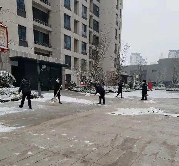 理想城开展园区除雪行动，保障业主出行环境