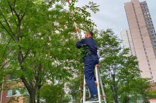 怡欣花园开展监控设备设施检修养护工作