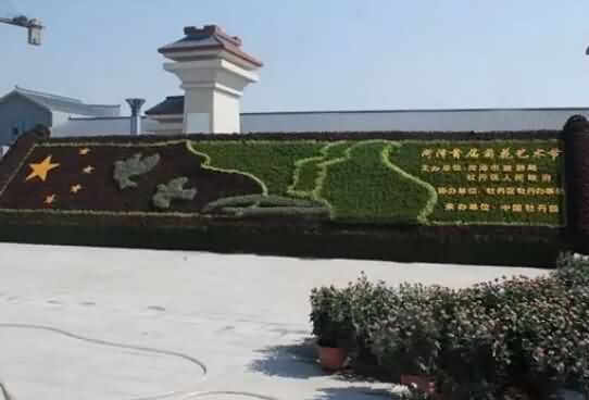 菏泽首届菊花艺术节在牡丹项目部服务辖区中国牡丹园召开