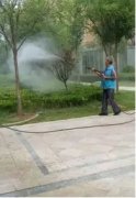 银湾集团︱丰海御龙湾及时做好秋后除杂养护工作 做业主的好园丁