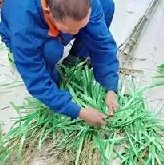 银湾集团｜物业质量专题：港湾新城出了“发明家” 保洁新“武器”节能又增效
