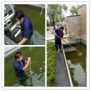 银湾集团|物业专题：怡欣花园清理小区景观池 更换和检修喷泉设备