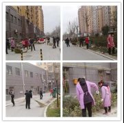 银湾集团｜物业专题：达驰聚龙湾组织开展迎新年全员大扫除活动