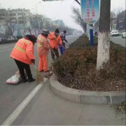 银湾集团｜环卫专题：聊城项目部开展节前环境卫生集中整治行动