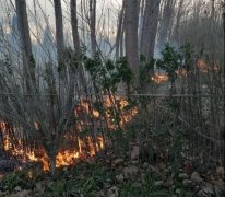 银湾集团｜环卫专题：聊城项目部洒水车变身救火车 第一时间协助
