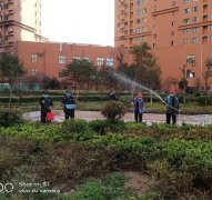 银湾集团｜物业专题：大都会开展春季绿化补栽养护工作