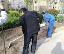 银湾集团｜物业专题：丰海御龙湾开展绿化提升和病虫害防治工作