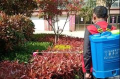 物业曹县区域开展园区绿化养护和病虫害防治工作