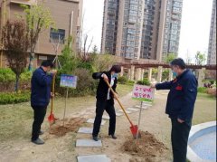 天正·中央大街设置绿化警示牌 爱护绿化从点滴做起