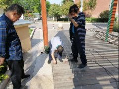 怡欣花园修缮休闲凉亭走廊 确保园区环境居住品质