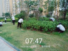 港湾新城组织开展“拔草护绿 美化环境”义务活动