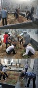 明冉美术馆开展牡丹补植工作，营造优美展览环境