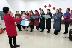 港湾新城小区业主自发组织开展迎新年联欢会活动
