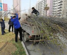 菏泽区域组织开展“传承绿色人居理念 共建绿色家园”植树节活动