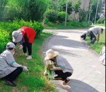 港湾新城组织开展集体拔草义务劳动，美化小区环境